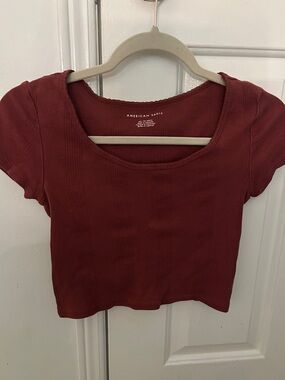 American Eagle Outfitters Brick Red Ribbed Scoop Neck Crop Top
